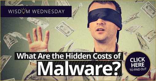 Wisdom Wednesday: The Hidden Costs Of Malware 9 Hidden Costs of Malware